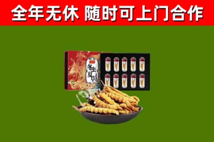 大英县回收冬虫夏草价格