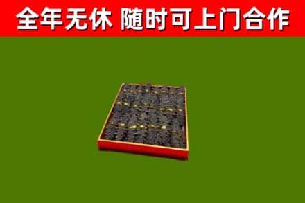 大英县回收海参
